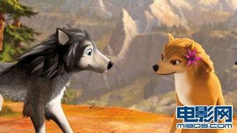 丛林有情狼,探寻狼族情感与生存智慧