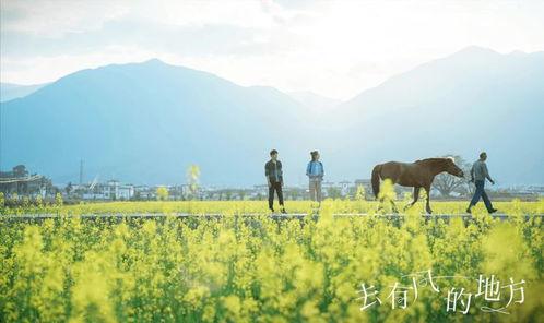 去有风的地方,邂逅诗意人生